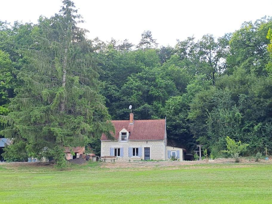 Superbe Lodge 4-8 Pers A 15 Mn Zoo Beauval Faverolles  외부 사진